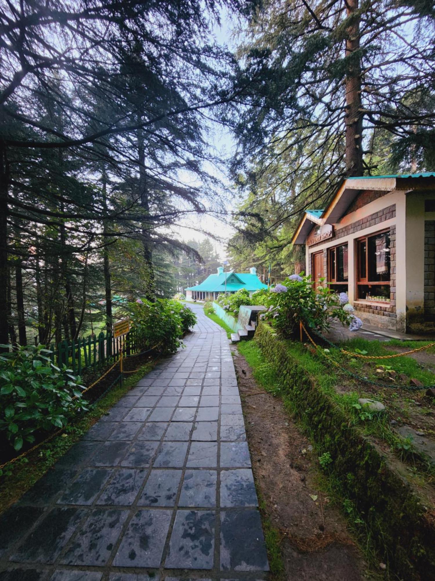 Smarthill Kalatop-Nature'S Heaven Hotel Dalhousie Exterior photo