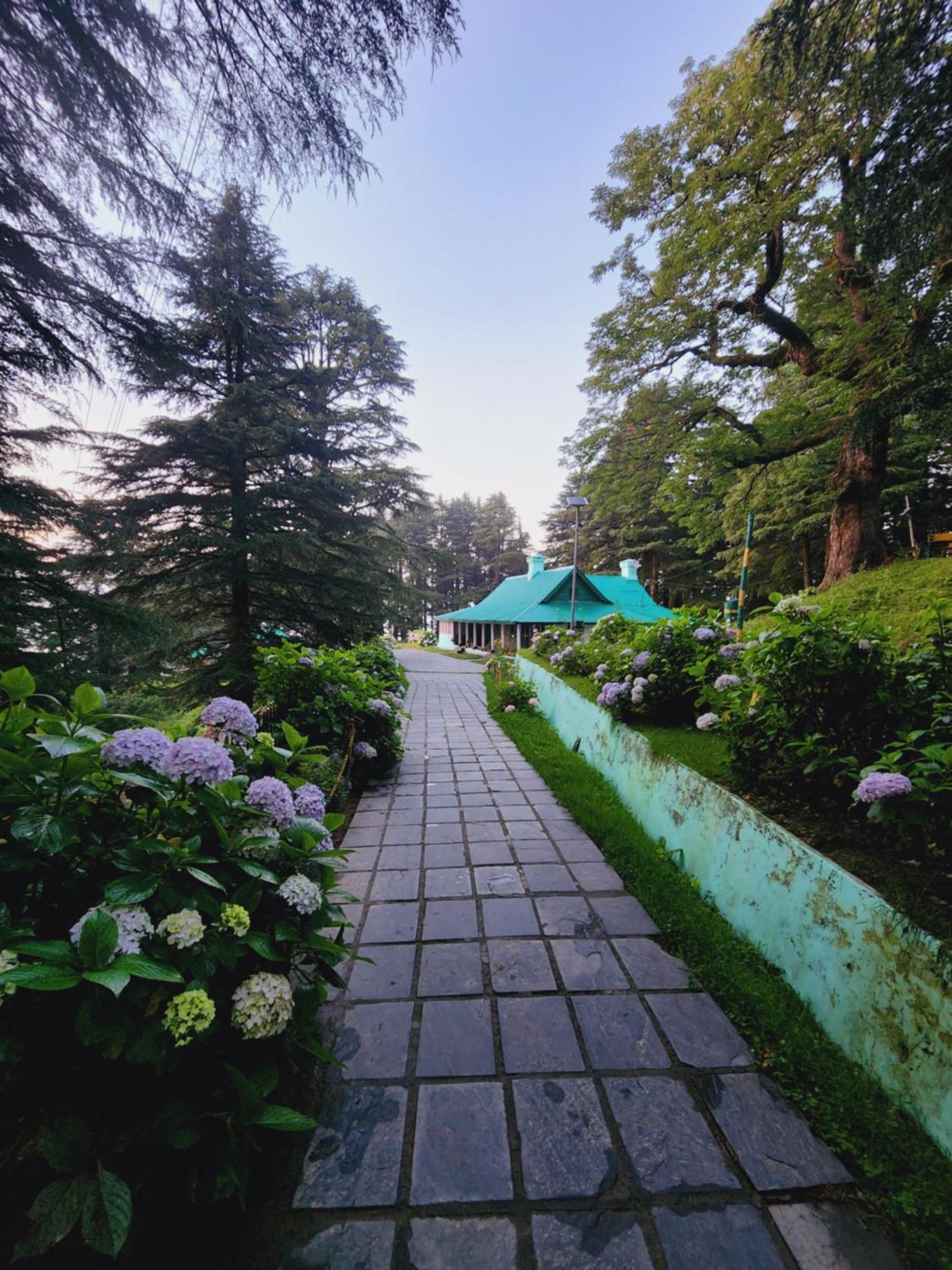 Smarthill Kalatop-Nature'S Heaven Hotel Dalhousie Exterior photo