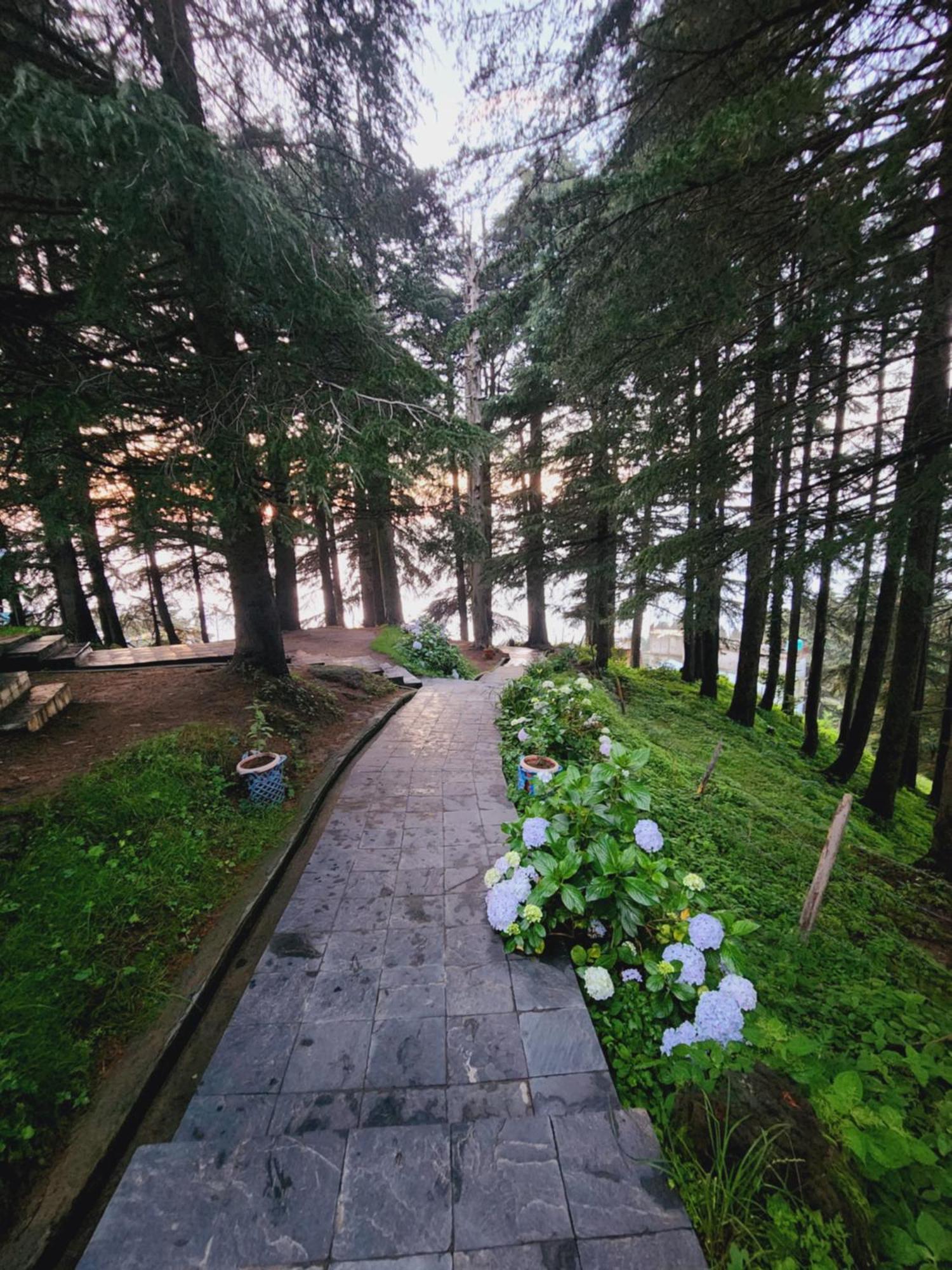Smarthill Kalatop-Nature'S Heaven Hotel Dalhousie Exterior photo